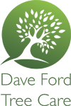 Dave Ford Tree Care