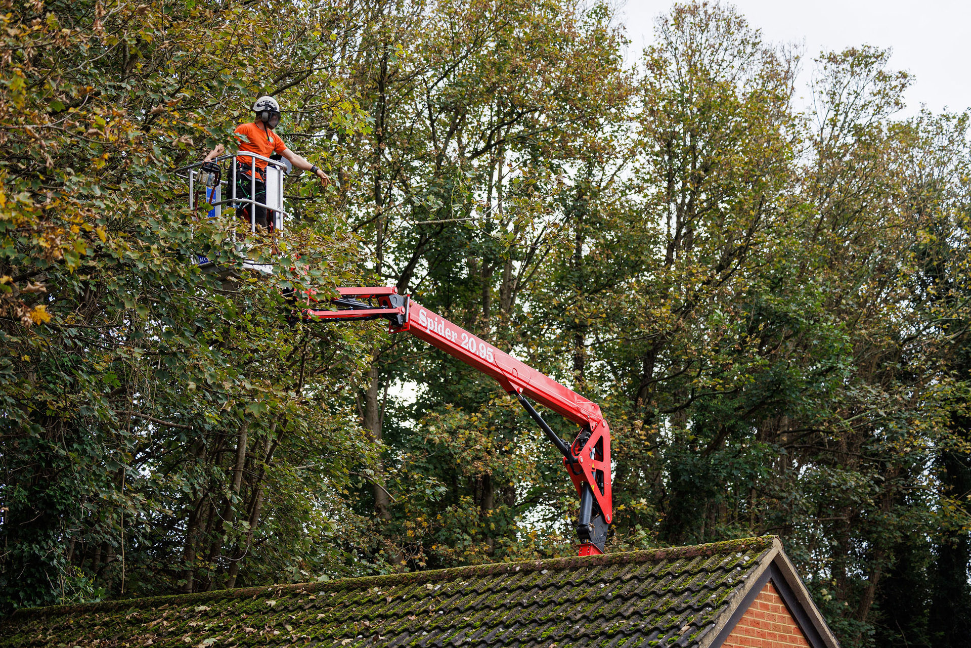 Dave Ford Tree Care Cherrypicker