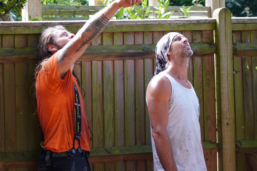 Arborists discussing